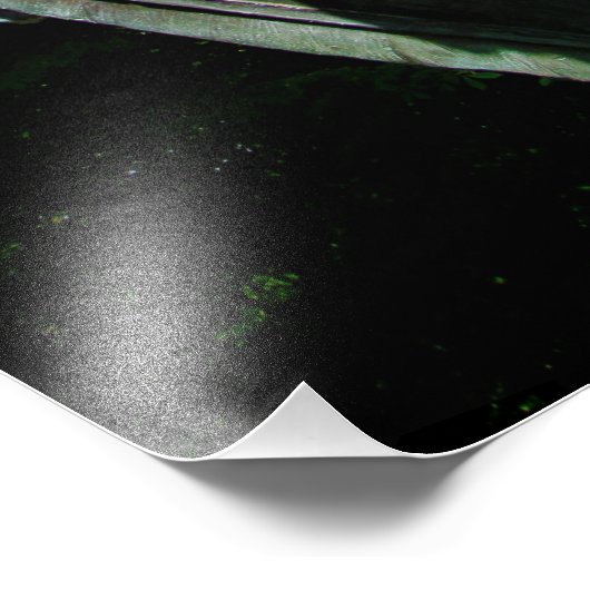 "Drager van het leven" Foto Afdruk (Hoek)