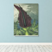 Dragon Arum, gegraveerd door Ward, uit 'The Templ' Canvas Afdruk (Insitu (Houten vloer))