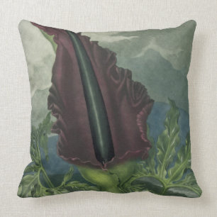 Dragon Arum, gegraveerd door Ward, uit 'The Templ' Kussen