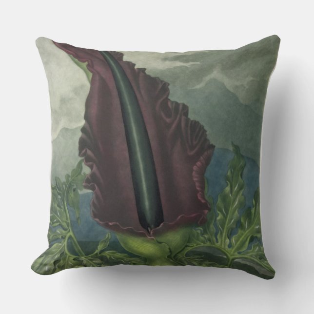 Dragon Arum, gegraveerd door Ward, uit 'The Templ' Kussen (Voorkant)
