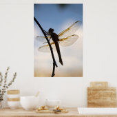 Dragon bij Rest Poster (Keuken)