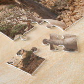 Dragon Blood Tree Forest, Socotra Island, Jemen Legpuzzel (Zijkant)