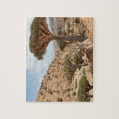 Dragon Blood Tree Forest, Socotra Island, Jemen Legpuzzel (Verticaal)