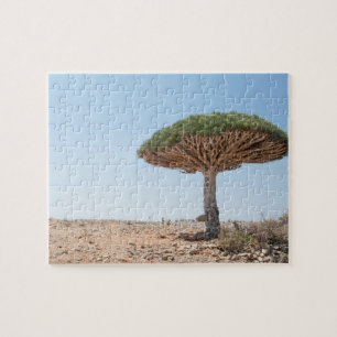 Dragon Blood Tree Legpuzzel