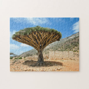 Dragon Blood Tree, Socotra Island, Jemen Legpuzzel
