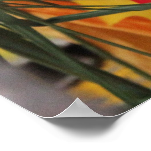 Dragon Boat-hoofdartikel Poster (Hoek)