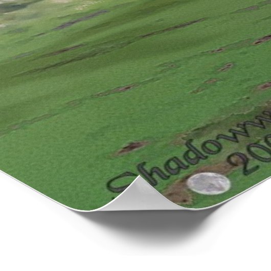 Dragon Duel Poster (Hoek)