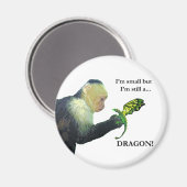 Dragon en aap magneet (Voorkant / Achterkant)