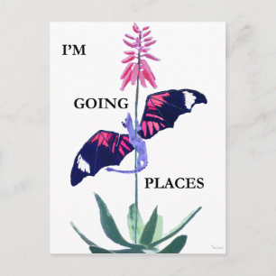 Dragon en Cactus Briefkaart