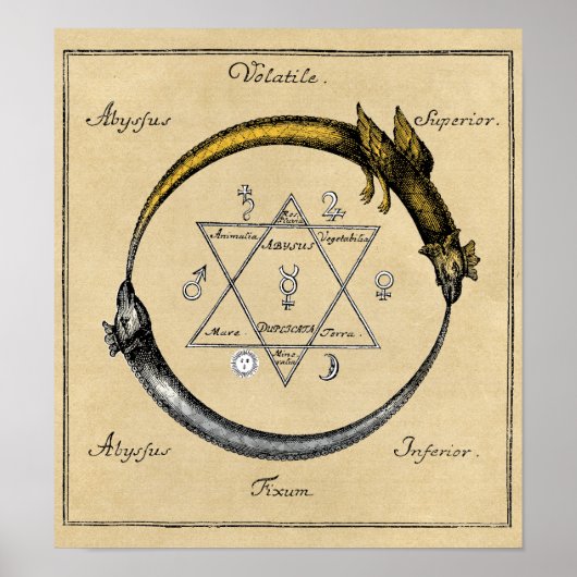 Dragon en Snake Ouroboros Mandala Poster (Voorkant)