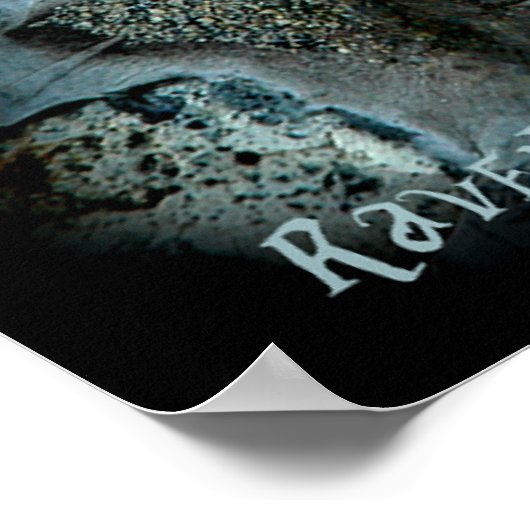 Dragon Eye Poster (Hoek)