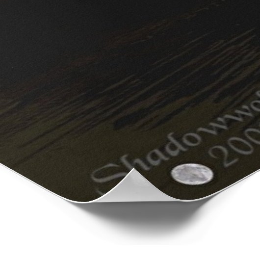 Dragon Eyrie Poster (Hoek)