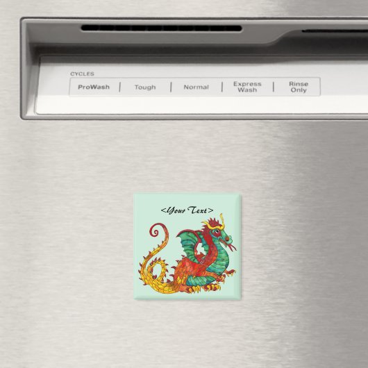 Dragon Fire Magneet (Insitu (Vaatwasser))