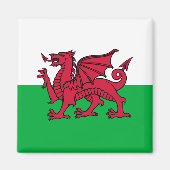 Dragon Flag of Wales, Celtic Welsh National Flag Magneet (Voorkant)