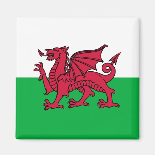 Dragon Flag of Wales, Celtic Welsh National Flag Magneet (Voorkant)