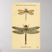 Dragon Flies Litho Poster