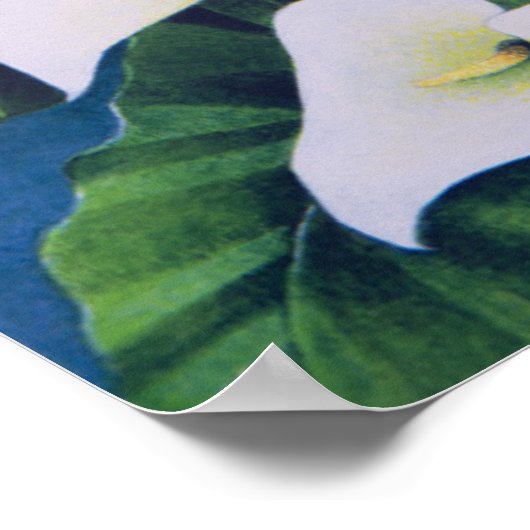 Dragon Flies Poster (Hoek)