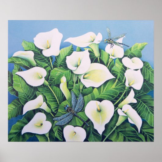 Dragon Flies Poster (Voorkant)