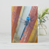 Dragon Fly 5 x 7 Expression/Wenskaart Bedankkaart (Staand voorkant)