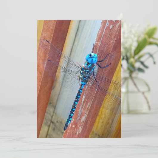 Dragon Fly 5 x 7 Expression/Wenskaart Bedankkaart (Staand voorkant)