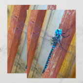 Dragon Fly 5 x 7 Expression/Wenskaart Bedankkaart (Voorkant / Achterkant)