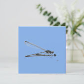 Dragon Fly Kaart (Staand voorkant)