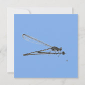 Dragon Fly Kaart (Voorkant)