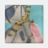 Dragon Fly Magneet (Voorkant)