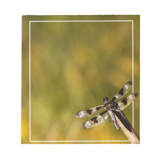 Dragon Fly Notitieblok (Voorkant)