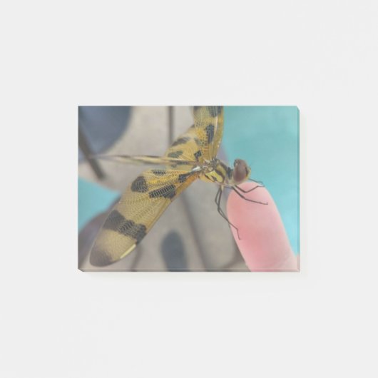 Dragon Fly Post-it® Notes (Voorkant)