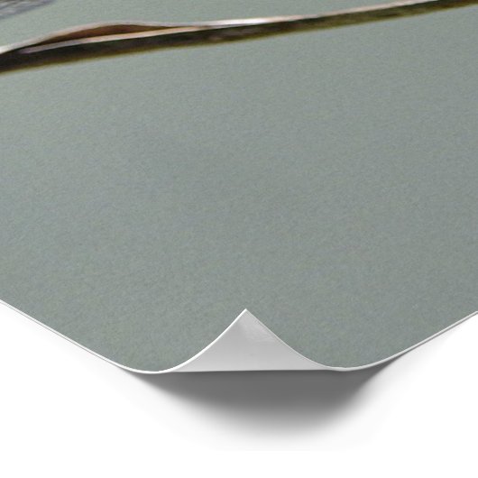 Dragon Fly Poster (Hoek)