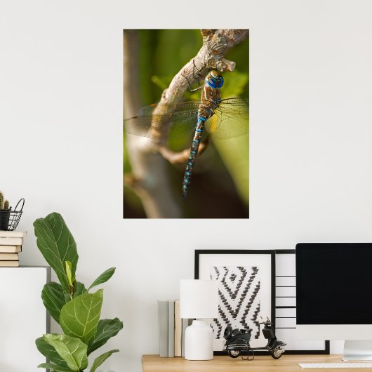 Dragon Fly Poster (Thuiskantoor)