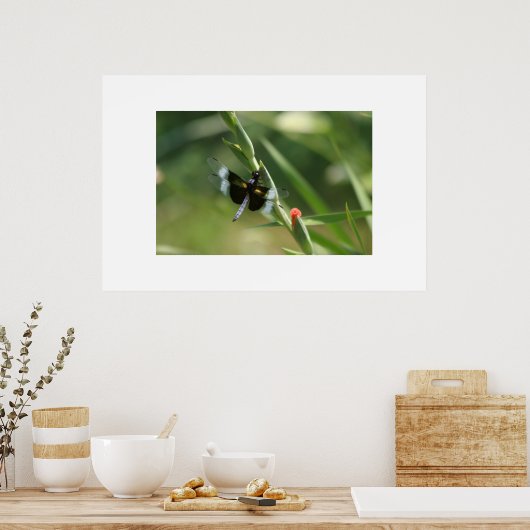 DRAGON FLY POSTER (Keuken)