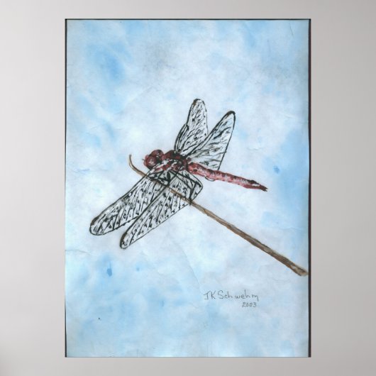 Dragon Fly Poster (Voorkant)