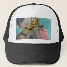 Dragon Fly Trucker Pet