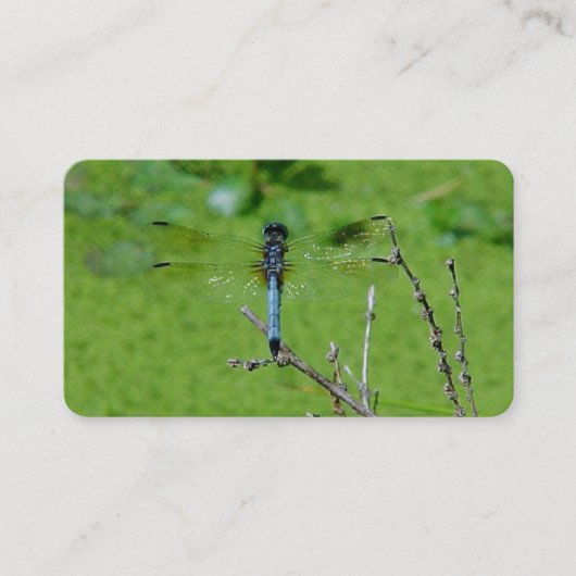 Dragon Fly-Visitekaartjes Visitekaartje (Voorkant)