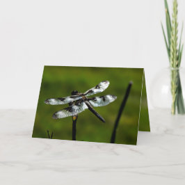 Dragon Fly Wenskaarten Kaart