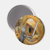 Dragon Folk Magneet (Voorkant / Achterkant)