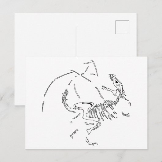 Dragon Fossils Briefkaart (Voorkant / Achterkant)