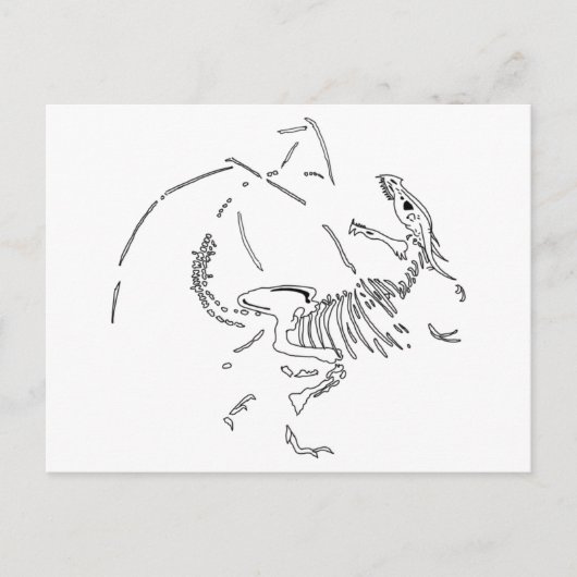 Dragon Fossils Briefkaart (Voorkant)