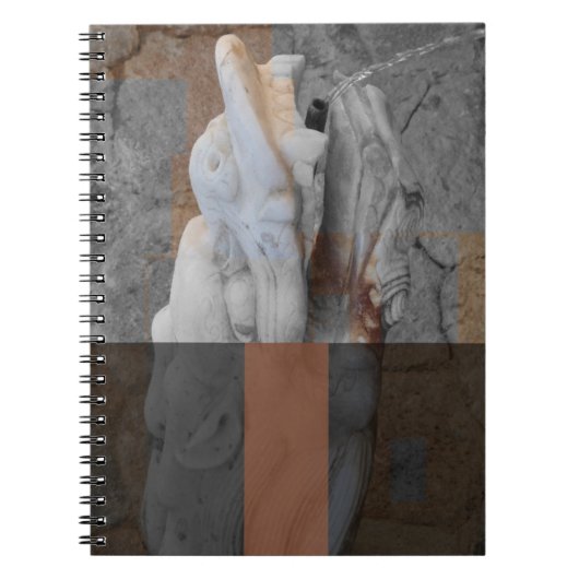 Dragon Fountain Notitieboek (Voorkant)