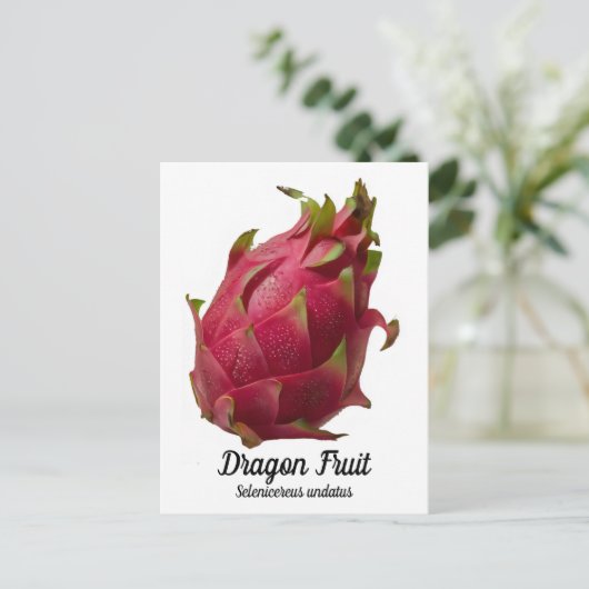 Dragon Fruit Briefkaart (Staand voorkant)