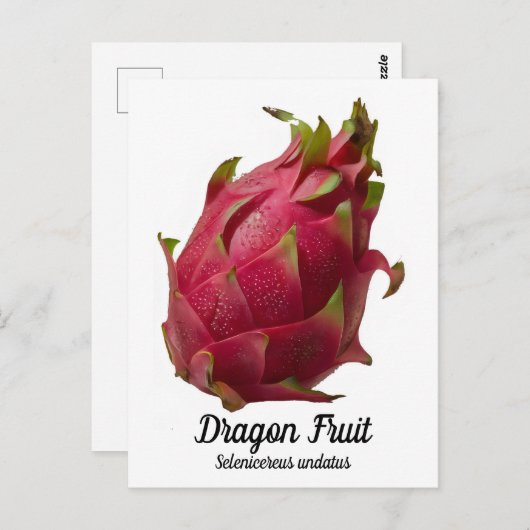 Dragon Fruit Briefkaart (Voorkant / Achterkant)