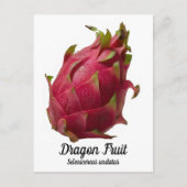 Dragon Fruit Briefkaart (Voorkant)
