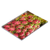 Dragon Fruit | Can Duoc Market Notitieboek (Linkerzijde)