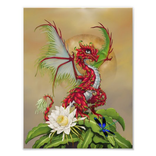 Dragon Fruit Dragon 8.5x11 Print Foto Afdruk (Voorkant)
