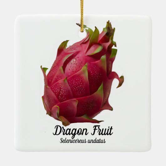 Dragon Fruit Keramisch Ornament (Achterkant)