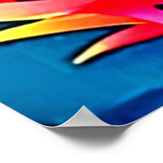 Dragon Fruit Pattern Art Poster (Hoek)