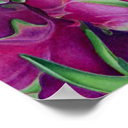 Dragon Fruit Poster (Hoek)