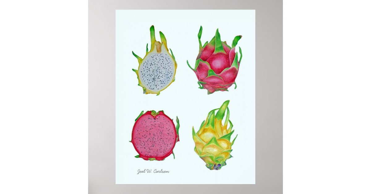Dragon Fruit Poster | Zazzle.nl